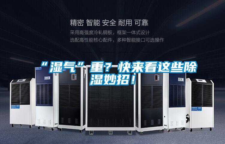 “濕氣”重？快來(lái)看這些除濕妙招！