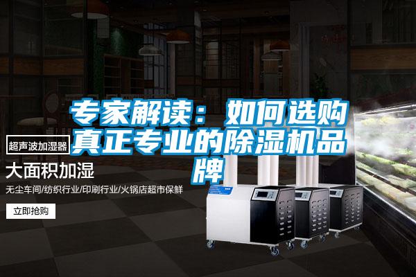 專家解讀：如何選購真正專業(yè)的除濕機(jī)品牌