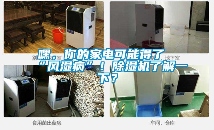 嘿，你的家電可能得了“風濕病”！除濕機了解一下？