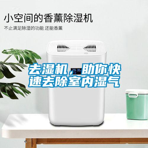 去濕機(jī),助你快速去除室內(nèi)濕氣