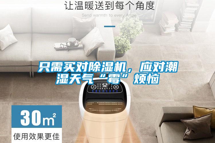 只需買對除濕機，應(yīng)對潮濕天氣“霉”煩惱