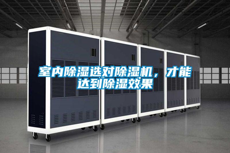 室內(nèi)除濕選對除濕機，才能達到除濕效果