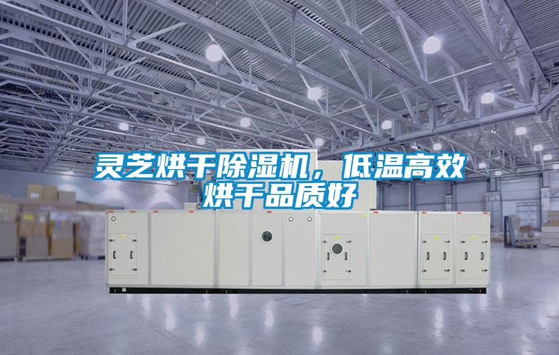 靈芝烘干除濕機(jī)，低溫高效烘干品質(zhì)好