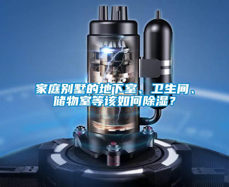 家庭別墅的地下室、衛生間、儲物室等該如何除濕？