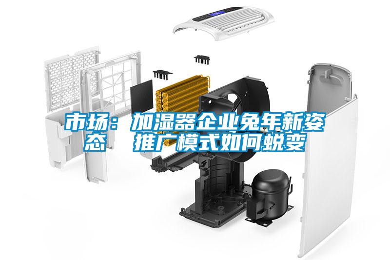 市場：加濕器企業(yè)兔年新姿態(tài)  推廣模式如何蛻變