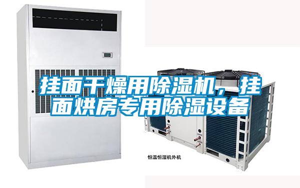 掛面干燥用除濕機，掛面烘房專用除濕設備