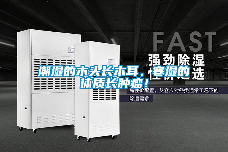 潮濕的木頭長木耳，寒濕的體質長腫瘤！