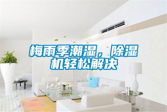 梅雨季潮濕，除濕機輕松解決