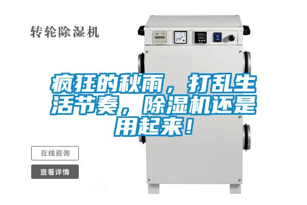 瘋狂的秋雨，打亂生活節奏，除濕機還是用起來！