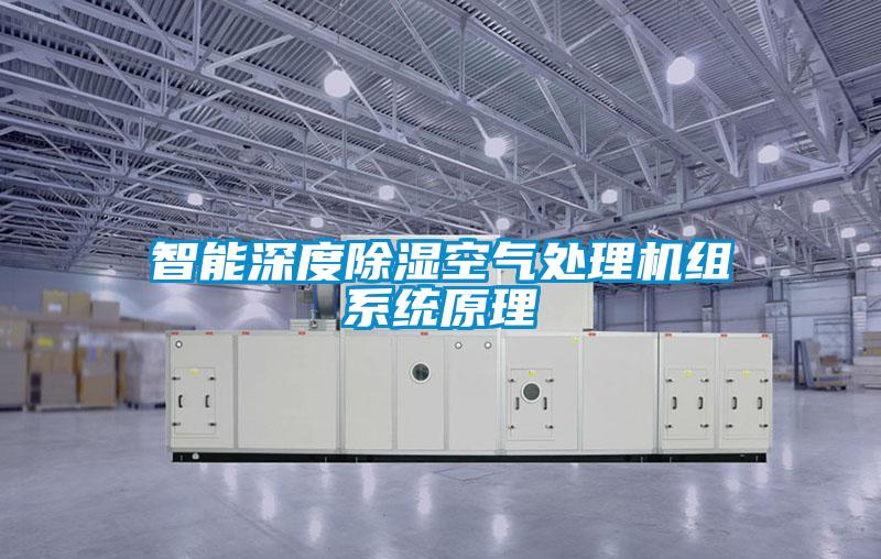 智能深度除濕空氣處理機組系統(tǒng)原理
