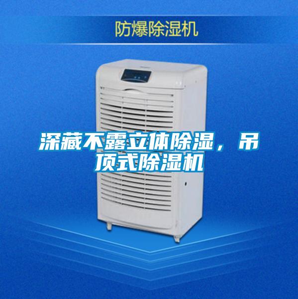 深藏不露立體除濕，吊頂式除濕機