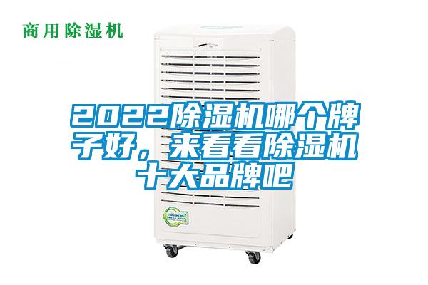 2022除濕機哪個牌子好，來看看除濕機十大品牌吧
