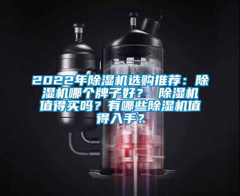2022年除濕機(jī)選購?fù)扑]：除濕機(jī)哪個牌子好？ 除濕機(jī)值得買嗎？有哪些除濕機(jī)值得入手？