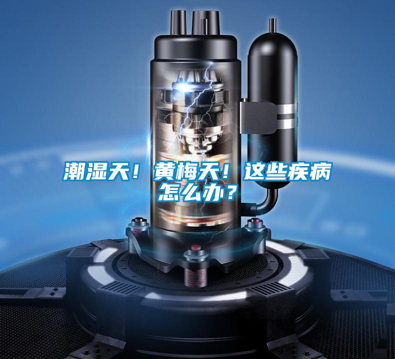 潮濕天!黃梅天!這些疾病怎么辦?