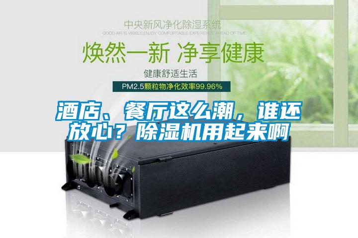 酒店、餐廳這么潮，誰還放心？除濕機用起來啊