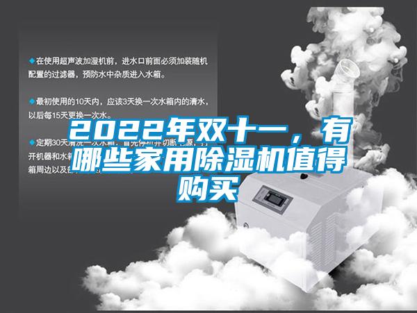 2022年雙十一，有哪些家用除濕機(jī)值得購買