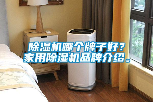 除濕機(jī)哪個牌子好？家用除濕機(jī)品牌介紹。