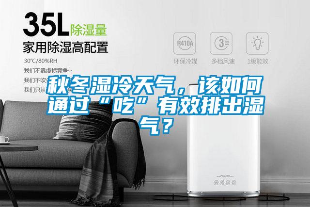 秋冬濕冷天氣，該如何通過“吃”有效排出濕氣？