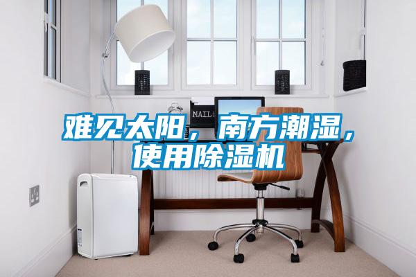 難見太陽，南方潮濕，使用除濕機