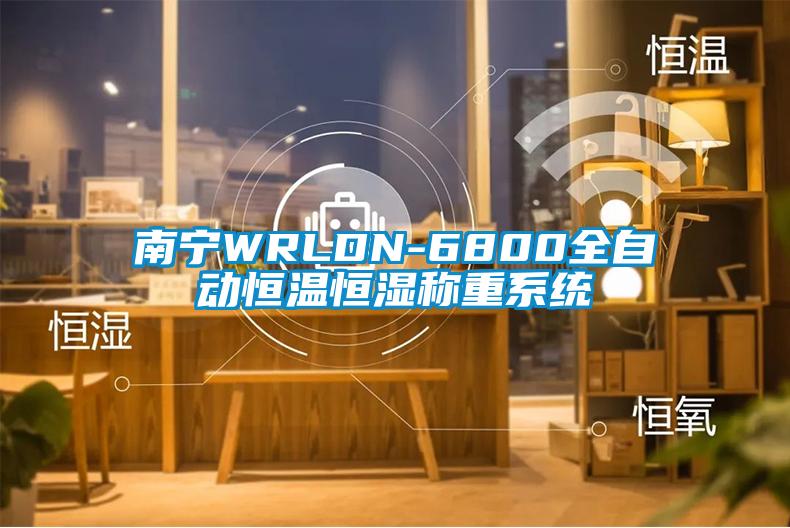 南寧WRLDN-6800全自動(dòng)恒溫恒濕稱重系統(tǒng)