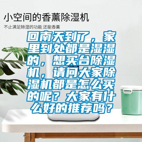 回南天到了，家里到處都是濕濕的，想買臺除濕機，請問大家除濕機都是怎么買的呢？大家有什么好的推薦嗎？