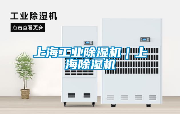 上海工業除濕機|上海除濕機