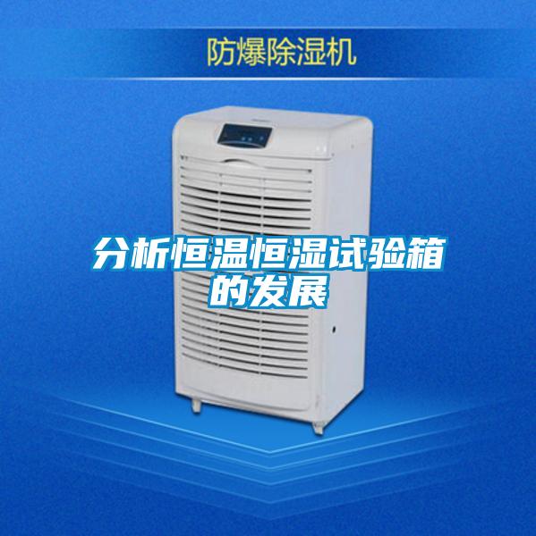 分析恒溫恒濕試驗箱的發(fā)展