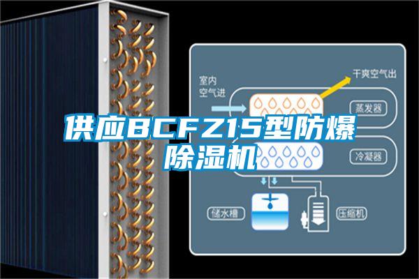 供應(yīng)BCFZ15型防爆除濕機