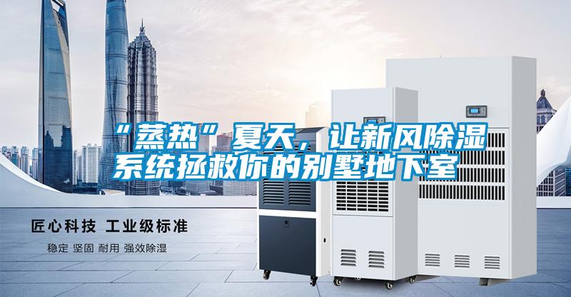 “蒸熱”夏天，讓新風除濕系統拯救你的別墅地下室