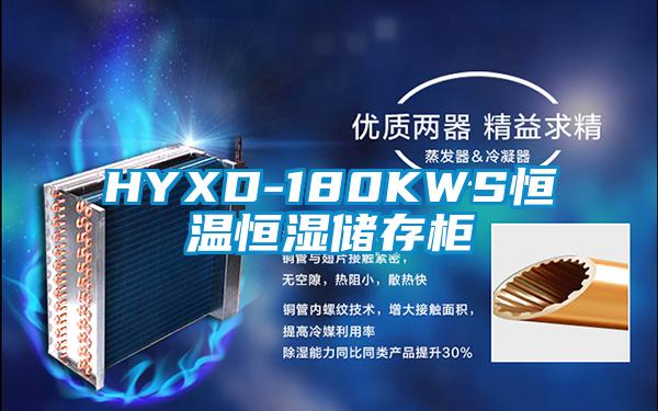 HYXD-180KWS恒溫恒濕儲(chǔ)存柜