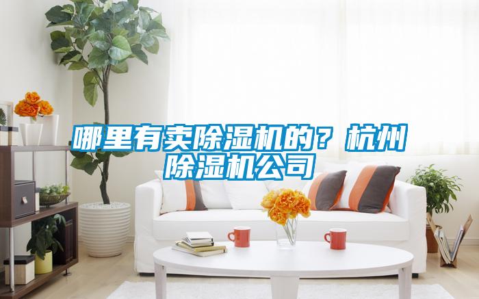 哪里有賣除濕機的？杭州除濕機公司