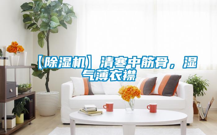【除濕機(jī)】清寒中筋骨，濕氣薄衣襟