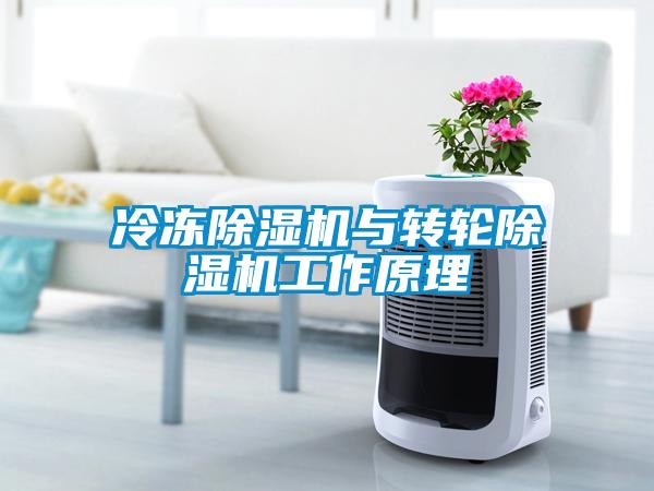 冷凍除濕機與轉(zhuǎn)輪除濕機工作原理