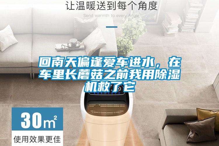 回南天偏逢愛(ài)車進(jìn)水，在車?yán)镩L(zhǎng)蘑菇之前我用除濕機(jī)救了它