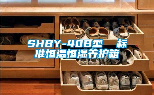 SHBY-40B型  標準恒溫恒濕養護箱