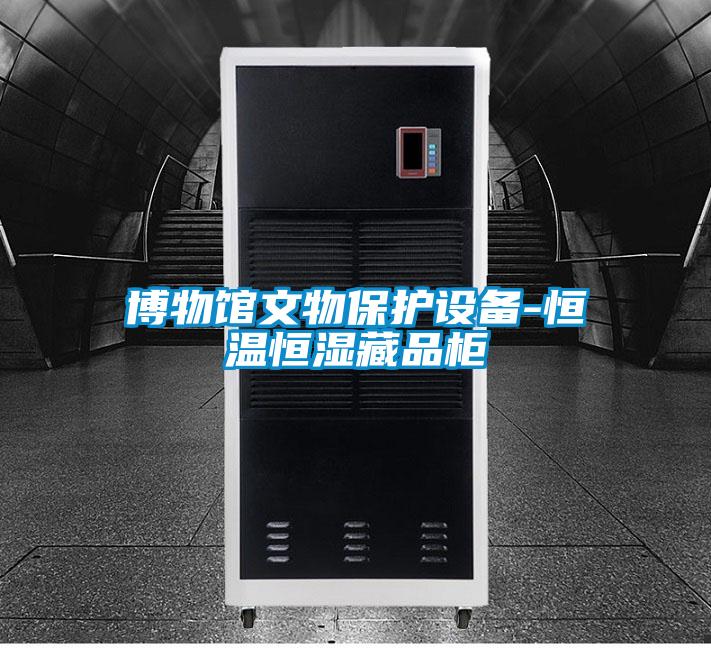 博物館文物保護設備-恒溫恒濕藏品柜