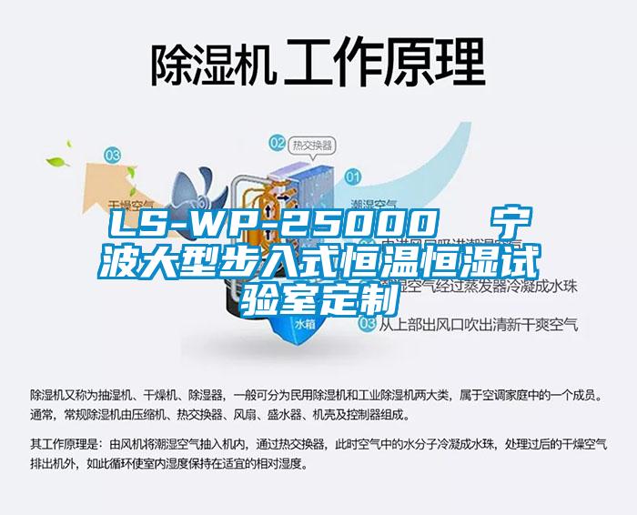 LS-WP-25000  寧波大型步入式恒溫恒濕試驗(yàn)室定制