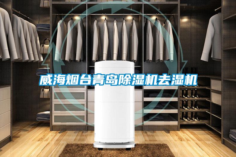 威海煙臺(tái)青島除濕機(jī)去濕機(jī)