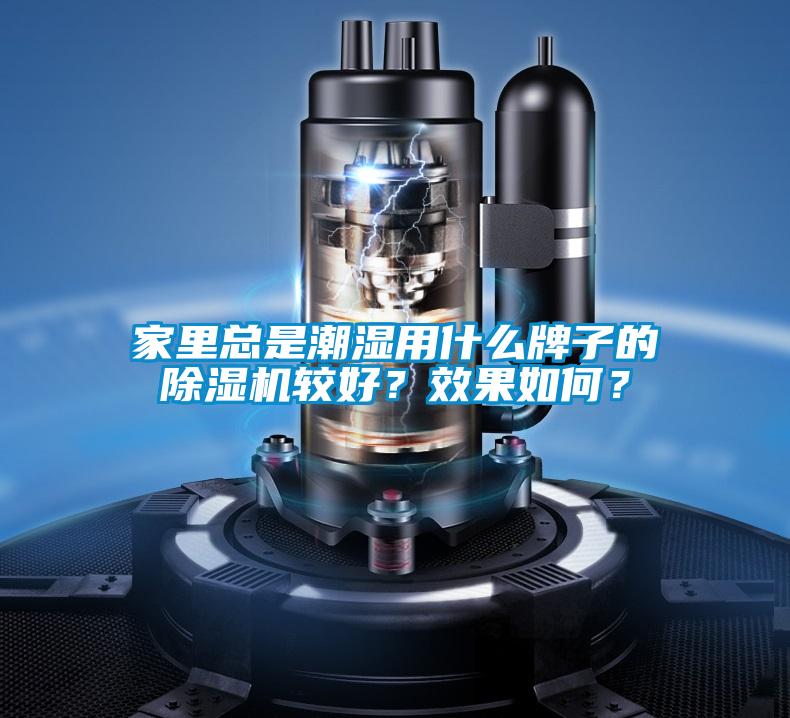家里總是潮濕用什么牌子的除濕機較好？效果如何？