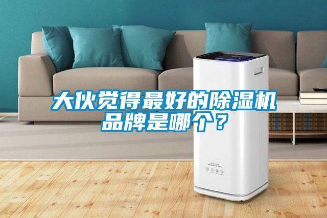 大伙覺(jué)得最好的除濕機(jī)品牌是哪個(gè)?
