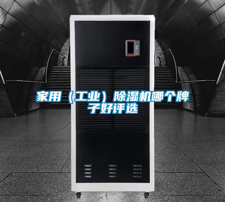 家用（工業）除濕機哪個牌子好評選