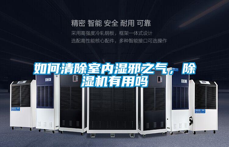 如何清除室內濕邪之氣，除濕機有用嗎