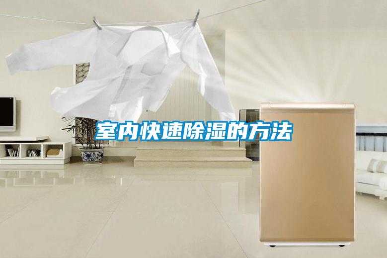 室內(nèi)快速除濕的方法