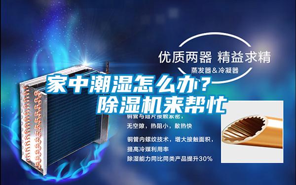 家中潮濕怎么辦？    除濕機來幫忙