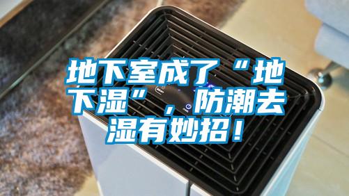 地下室成了“地下濕”，防潮去濕有妙招！
