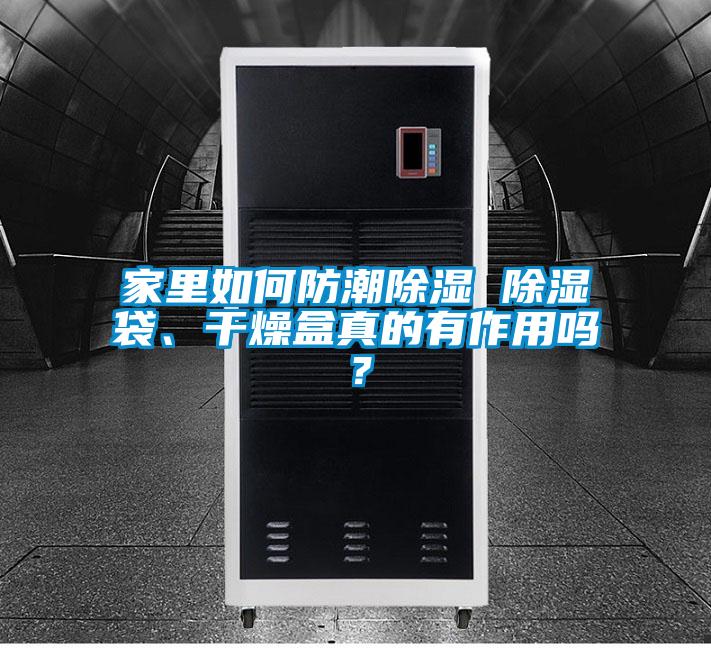 家里如何防潮除濕 除濕袋、干燥盒真的有作用嗎？