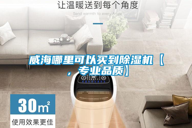威海哪里可以買到除濕機(jī)【，專業(yè)品質(zhì)】