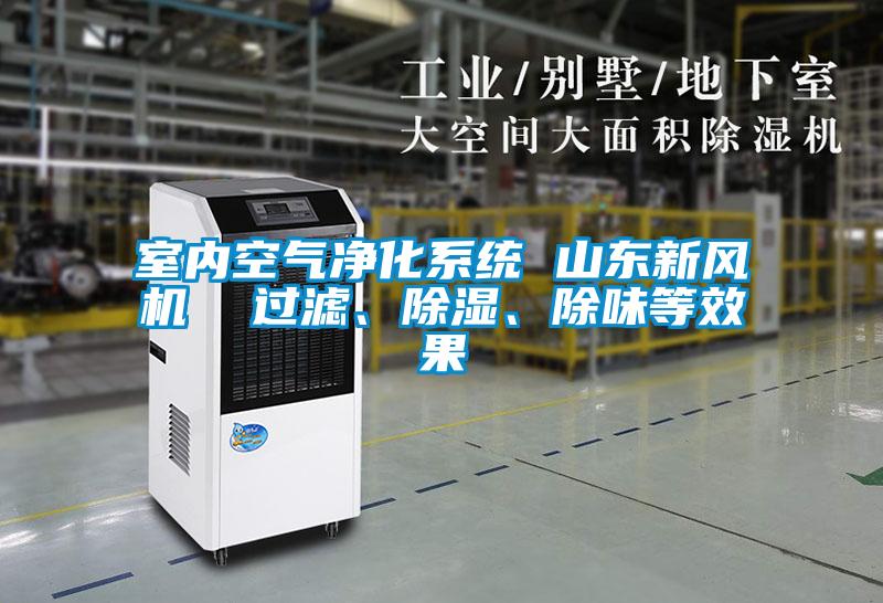 室內(nèi)空氣凈化系統(tǒng) 山東新風(fēng)機  過濾、除濕、除味等效果