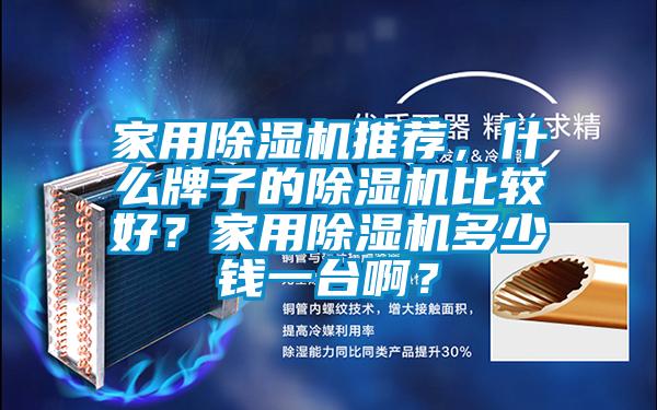 家用除濕機(jī)推薦，什么牌子的除濕機(jī)比較好？家用除濕機(jī)多少錢一臺(tái)啊？