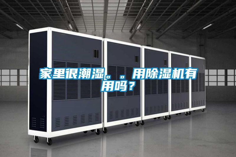 家里很潮濕。。用除濕機有用嗎？